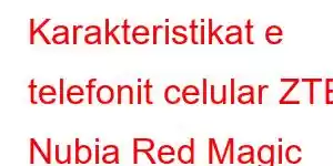 Karakteristikat e telefonit celular ZTE Nubia Red Magic 10S