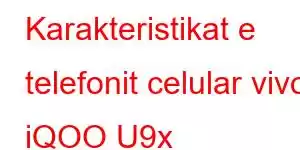 Karakteristikat e telefonit celular vivo iQOO U9x