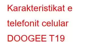 Karakteristikat e telefonit celular DOOGEE T19