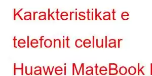 Karakteristikat e telefonit celular Huawei MateBook D 15 2020