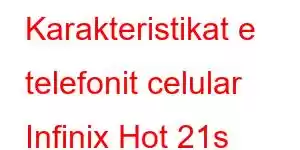 Karakteristikat e telefonit celular Infinix Hot 21s