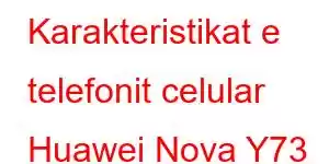 Karakteristikat e telefonit celular Huawei Nova Y73