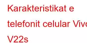 Karakteristikat e telefonit celular Vivo V22s