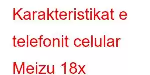 Karakteristikat e telefonit celular Meizu 18x