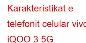 Karakteristikat e telefonit celular vivo iQOO 3 5G