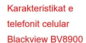 Karakteristikat e telefonit celular Blackview BV8900