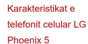 Karakteristikat e telefonit celular LG Phoenix 5