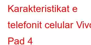 Karakteristikat e telefonit celular Vivo Pad 4