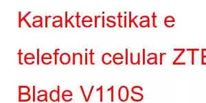Karakteristikat e telefonit celular ZTE Blade V110S