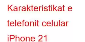 Karakteristikat e telefonit celular iPhone 21