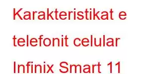 Karakteristikat e telefonit celular Infinix Smart 11