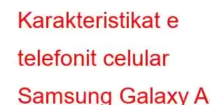 Karakteristikat e telefonit celular Samsung Galaxy A3 Core