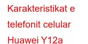 Karakteristikat e telefonit celular Huawei Y12a