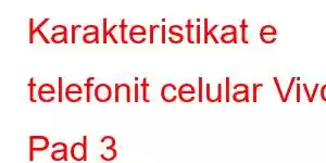 Karakteristikat e telefonit celular Vivo Pad 3