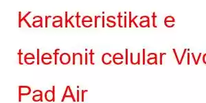 Karakteristikat e telefonit celular Vivo Pad Air