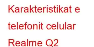 Karakteristikat e telefonit celular Realme Q2