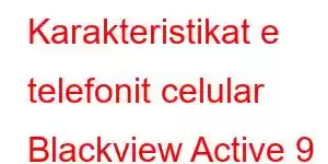 Karakteristikat e telefonit celular Blackview Active 9 Pro