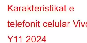 Karakteristikat e telefonit celular Vivo Y11 2024