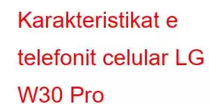 Karakteristikat e telefonit celular LG W30 Pro