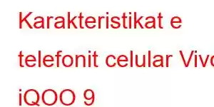 Karakteristikat e telefonit celular Vivo iQOO 9