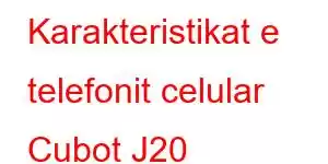 Karakteristikat e telefonit celular Cubot J20