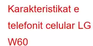 Karakteristikat e telefonit celular LG W60