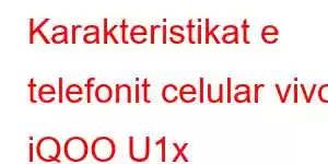 Karakteristikat e telefonit celular vivo iQOO U1x