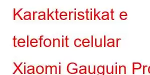 Karakteristikat e telefonit celular Xiaomi Gauguin Pro