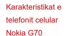 Karakteristikat e telefonit celular Nokia G70