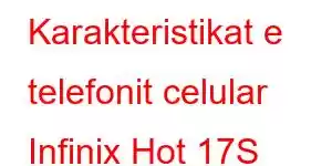 Karakteristikat e telefonit celular Infinix Hot 17S