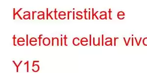 Karakteristikat e telefonit celular vivo Y15