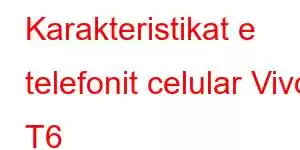 Karakteristikat e telefonit celular Vivo T6