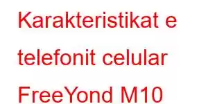 Karakteristikat e telefonit celular FreeYond M10