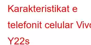Karakteristikat e telefonit celular Vivo Y22s
