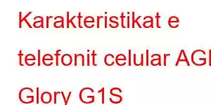 Karakteristikat e telefonit celular AGM Glory G1S