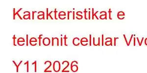 Karakteristikat e telefonit celular Vivo Y11 2026