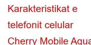 Karakteristikat e telefonit celular Cherry Mobile Aqua S10 Pro 5G