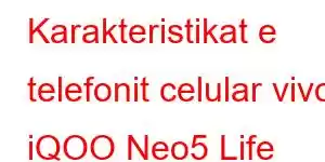 Karakteristikat e telefonit celular vivo iQOO Neo5 Life