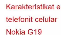 Karakteristikat e telefonit celular Nokia G19