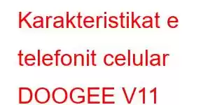 Karakteristikat e telefonit celular DOOGEE V11