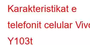 Karakteristikat e telefonit celular Vivo Y103t