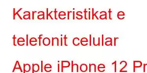 Karakteristikat e telefonit celular Apple iPhone 12 Pro