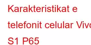 Karakteristikat e telefonit celular Vivo S1 P65