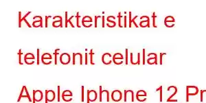 Karakteristikat e telefonit celular Apple Iphone 12 Pro Max