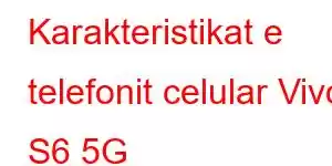 Karakteristikat e telefonit celular Vivo S6 5G