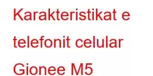 Karakteristikat e telefonit celular Gionee M5