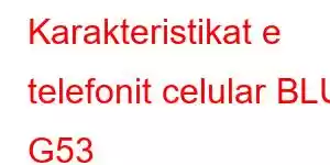 Karakteristikat e telefonit celular BLU G53