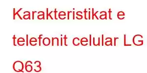 Karakteristikat e telefonit celular LG Q63