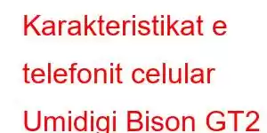 Karakteristikat e telefonit celular Umidigi Bison GT2