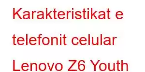 Karakteristikat e telefonit celular Lenovo Z6 Youth